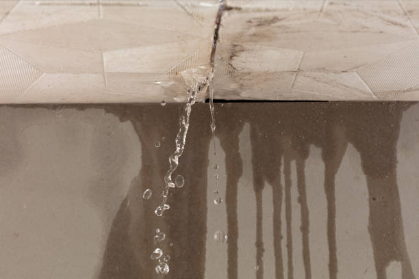 Professional Structural Drying technician working in Trufant, MI